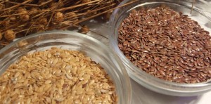 Gold and bronze linseed flax varieties are equally nutritious