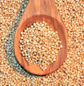 Quinoa, is suitable for the Budwig diet and is great served with linseed oil and coconut oil, the oleolux savoury seasoning.