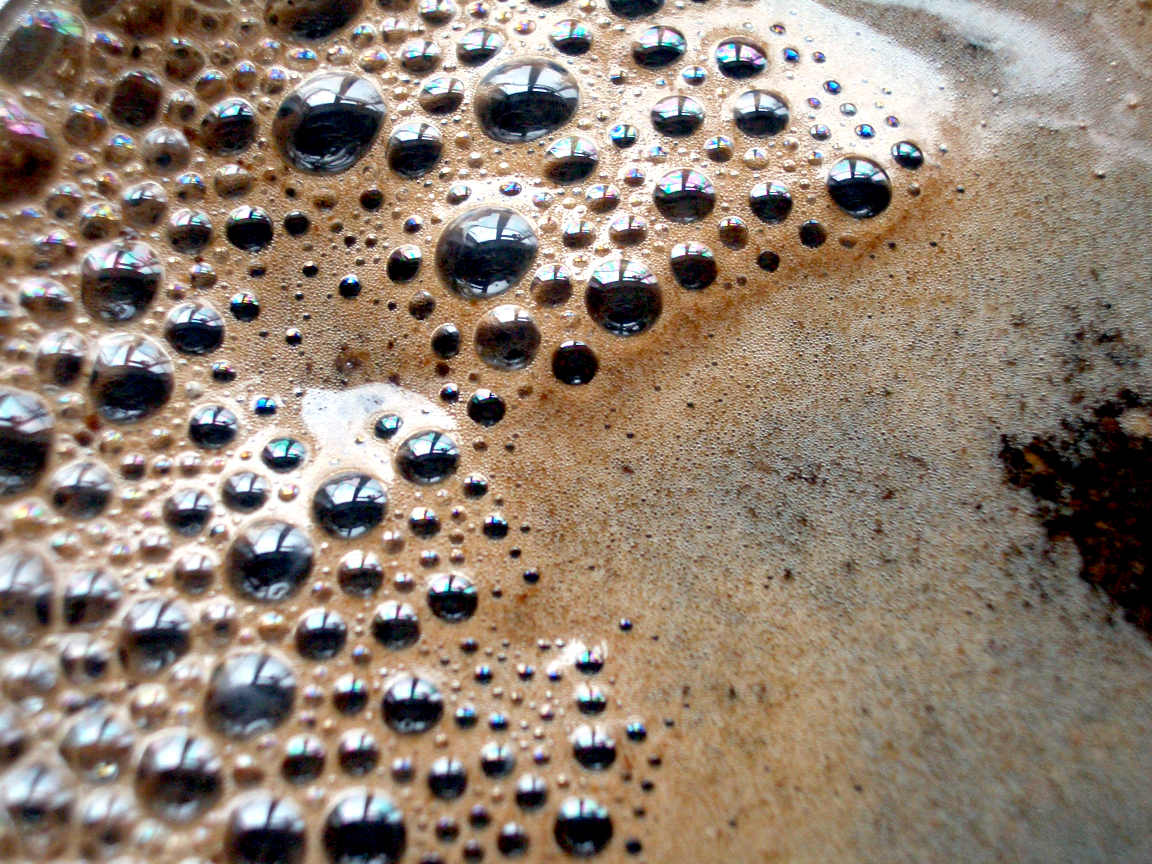 Coffee brewed for enemas